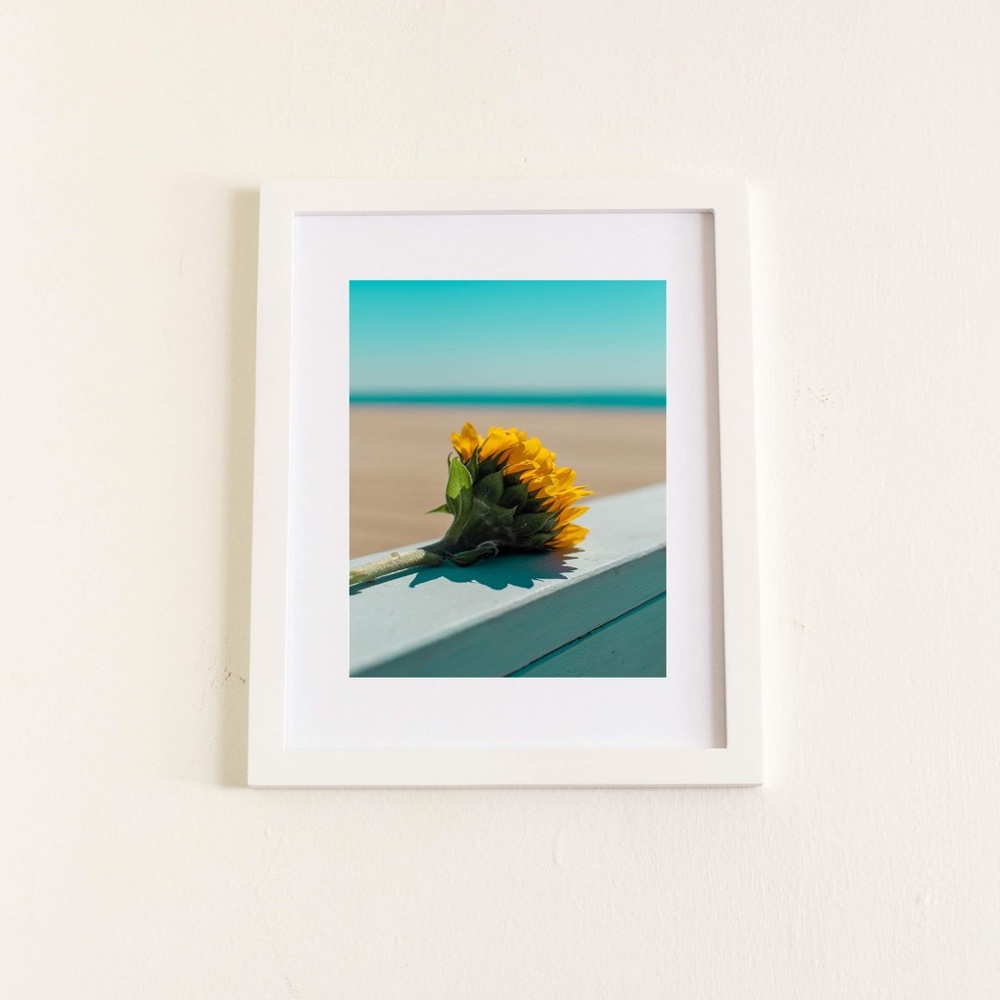 CLOSING SALE  8/1 “Sun Searcher” -11x14 Wall Print
